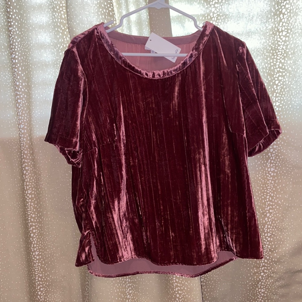 NWT Splendid Velvet Top